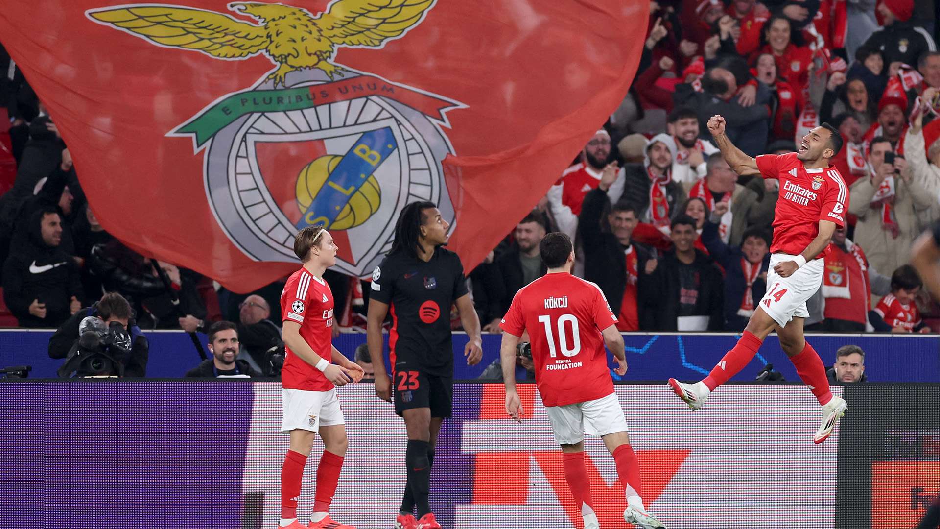 不仅显示了 不仅显示了