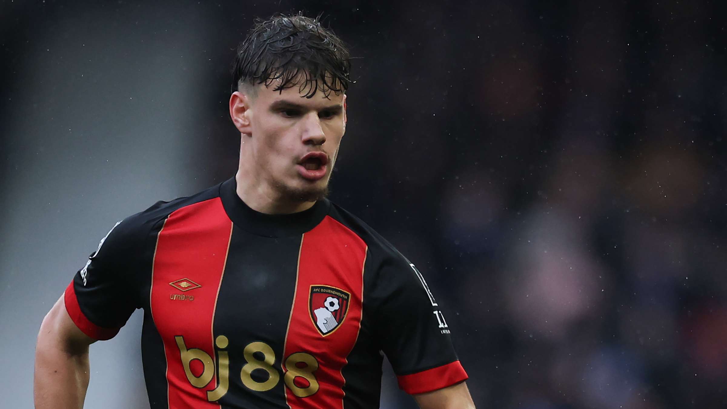 市场日趋全 市场日趋全