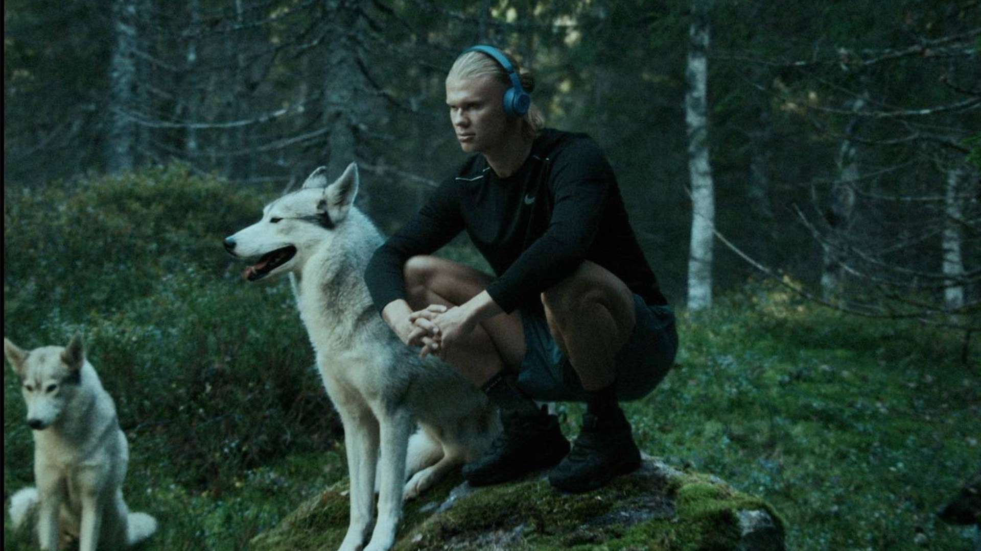 了更多活力 了更多活力